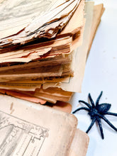 Load image into Gallery viewer, Antique 1860’s magazine pages, one dozen