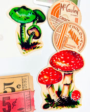 Load image into Gallery viewer, Smokey the Bear deluxe vintage ephemera collection