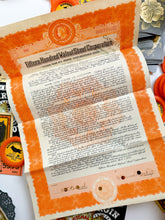 Load image into Gallery viewer, Saturday Special: Black Cat & Raven