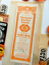 Load image into Gallery viewer, Saturday Special: Black Cat & Raven