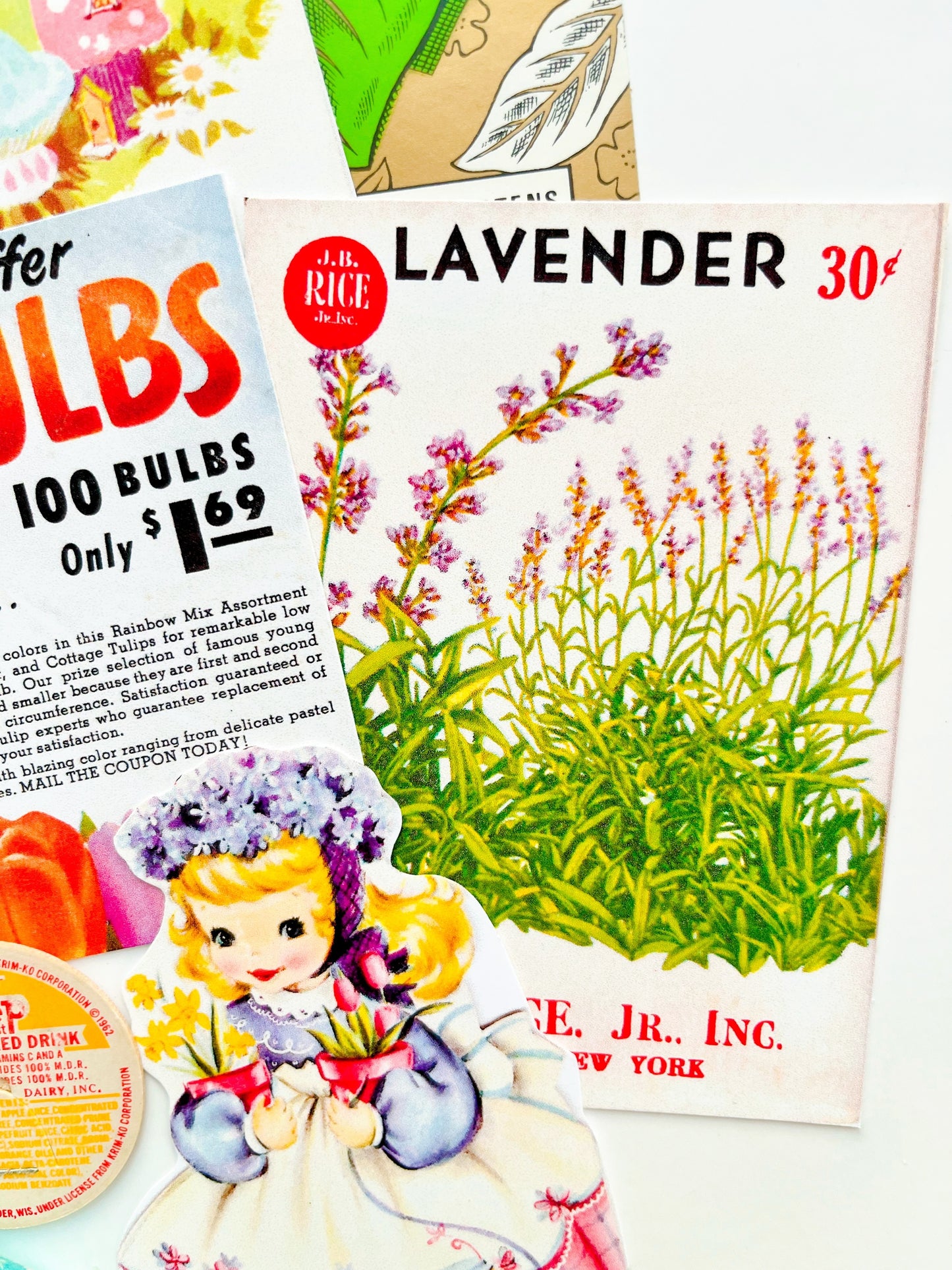 Tulips & Daffodils ephemera collection