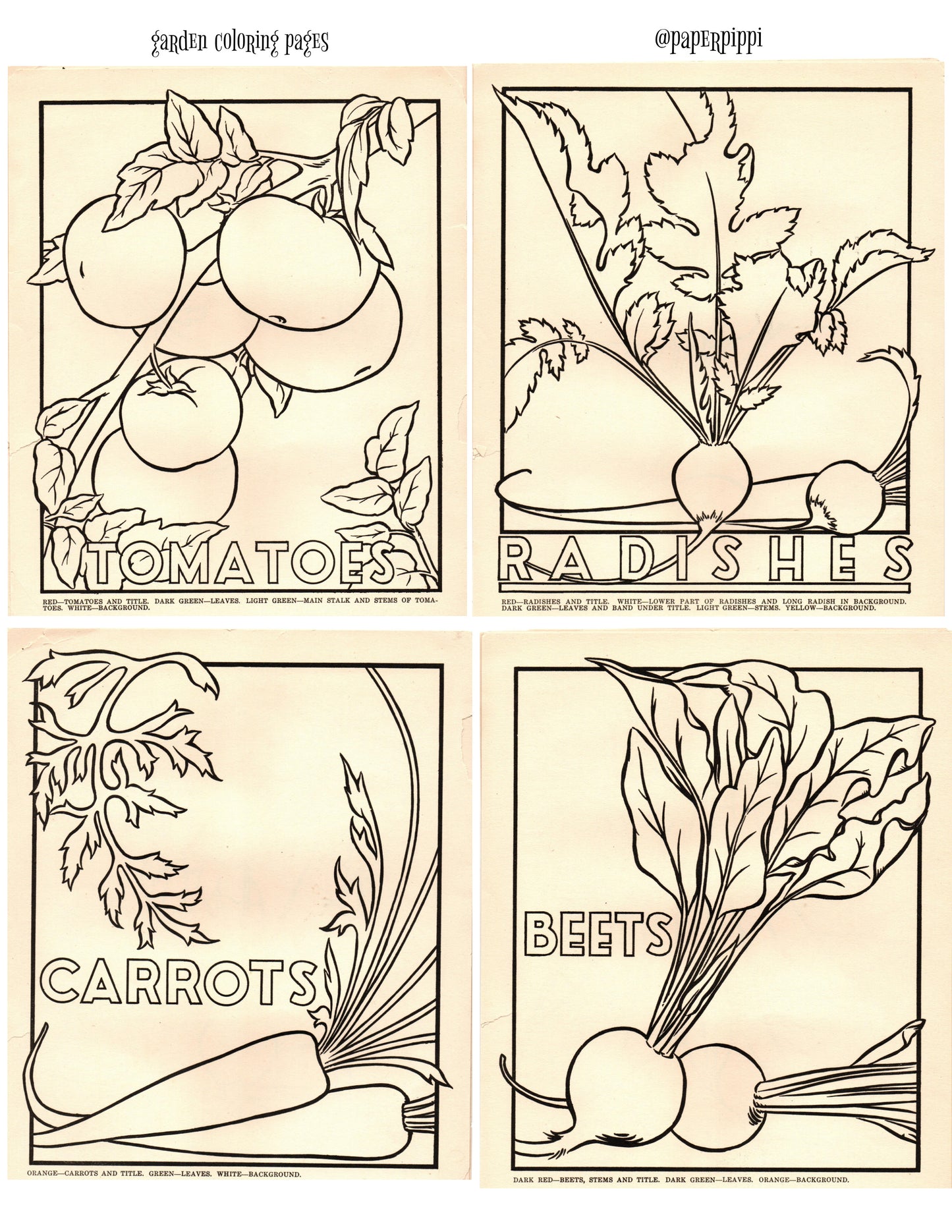 FREE! Garden Coloring Pages Digital Download Printable