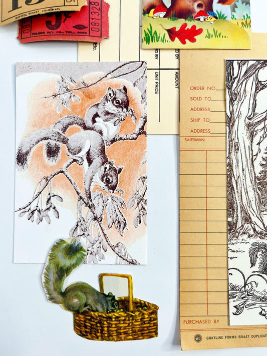 “Grey Squirrel-Grey Squirrel” ephemera collection