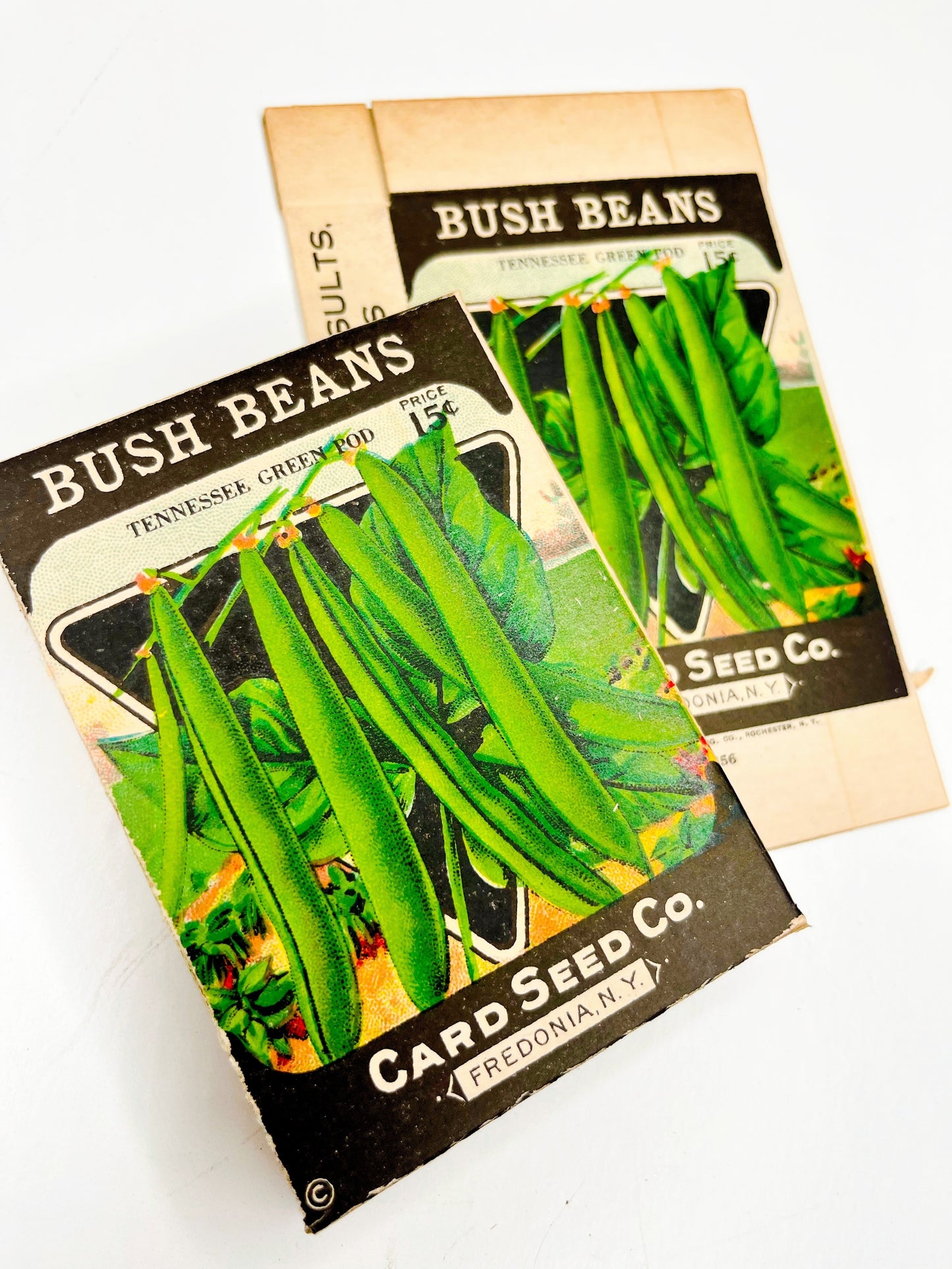 Vintage Card Seed Co. Bush Bean boxes, set of 2