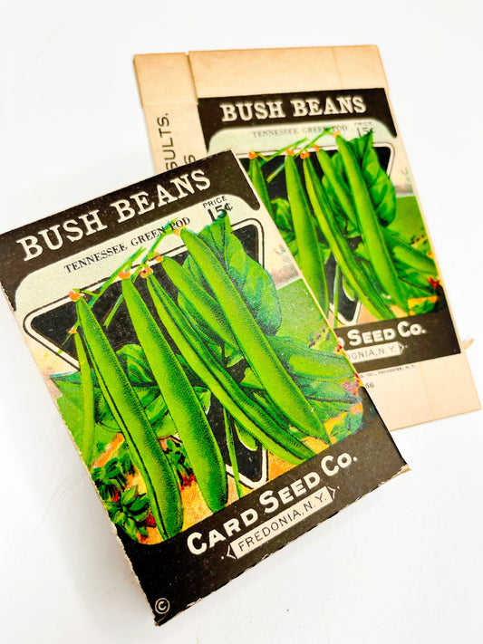 Vintage Card Seed Co. Bush Bean boxes, set of 2