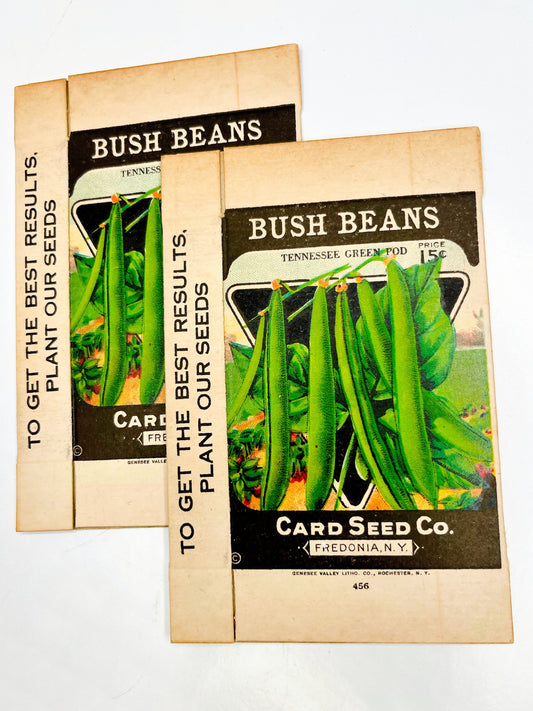 Vintage Card Seed Co. Bush Bean boxes, set of 2