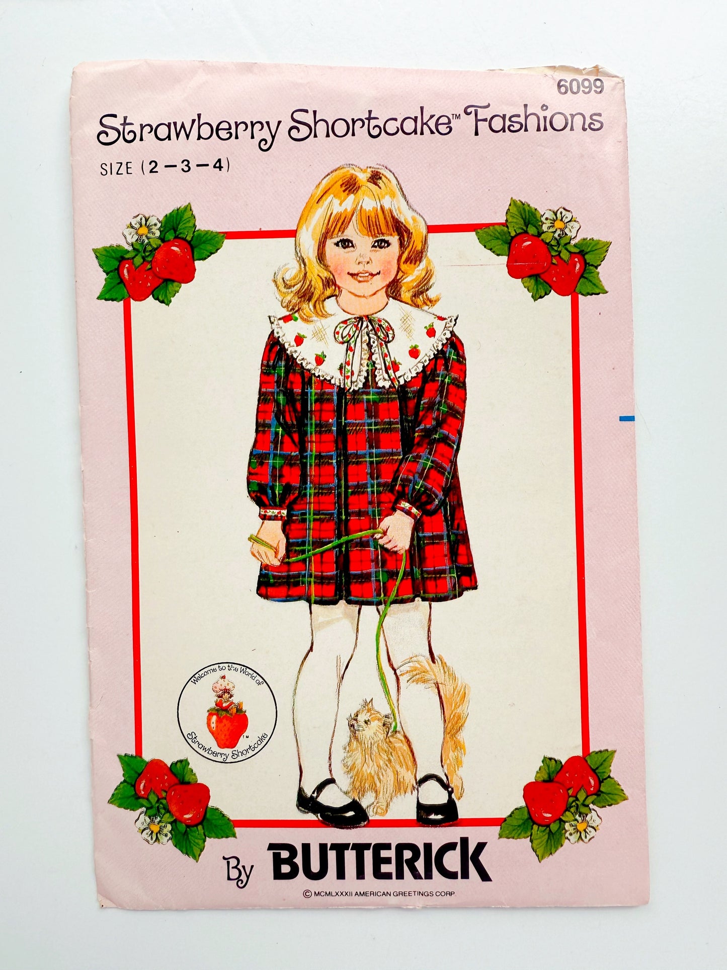 PREORDER: Vintage Strawberry Shortcake pattern envelope handmade journal