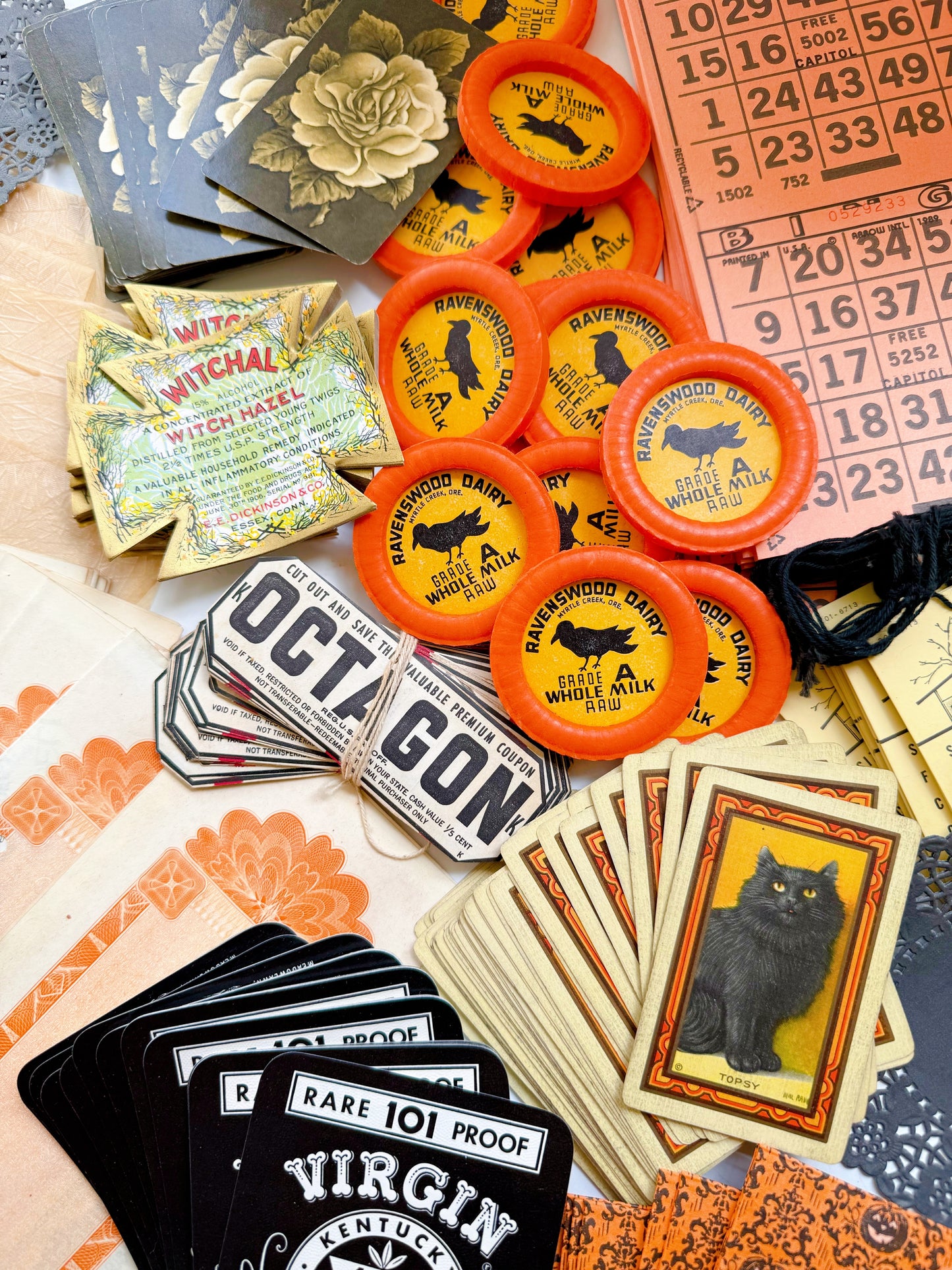 Saturday Special: Black Cat & Raven