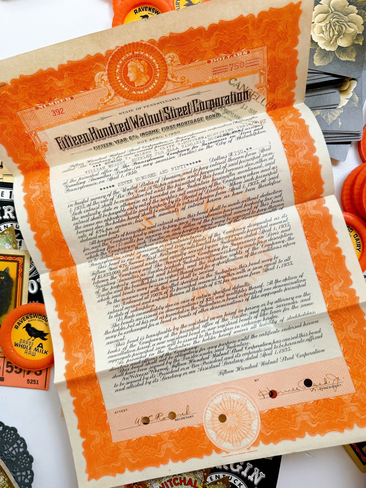 Saturday Special: Black Cat & Raven