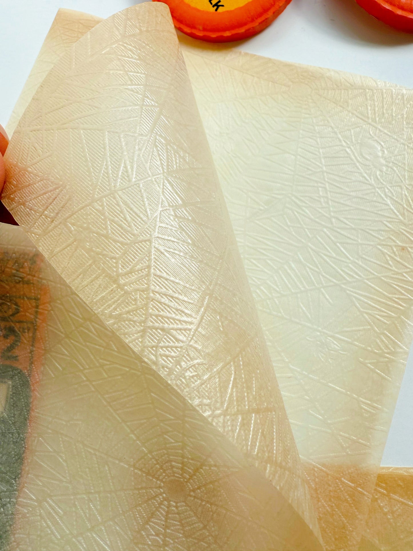 Saturday Special: Black Cat & Raven