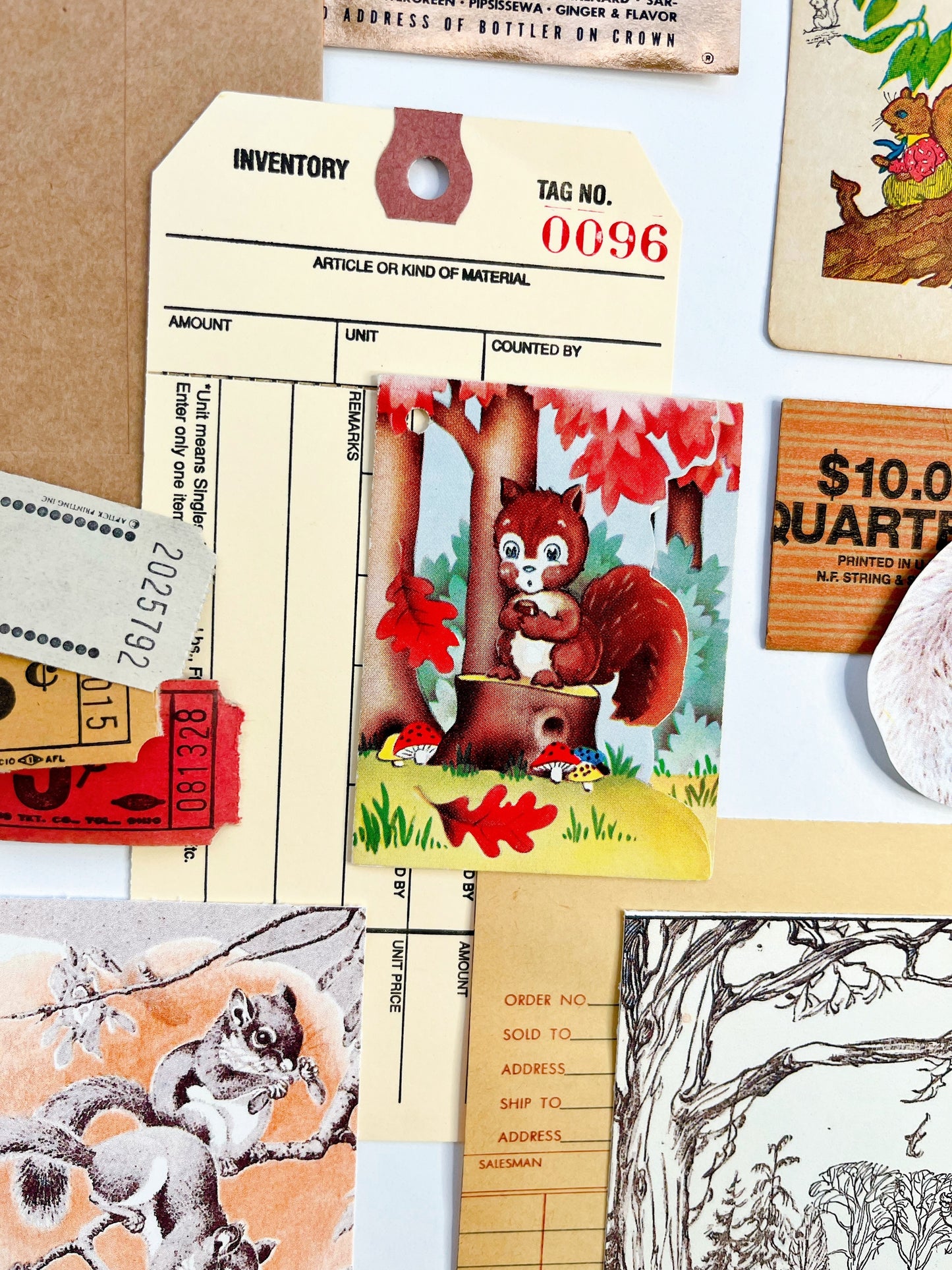 “Grey Squirrel-Grey Squirrel” ephemera collection
