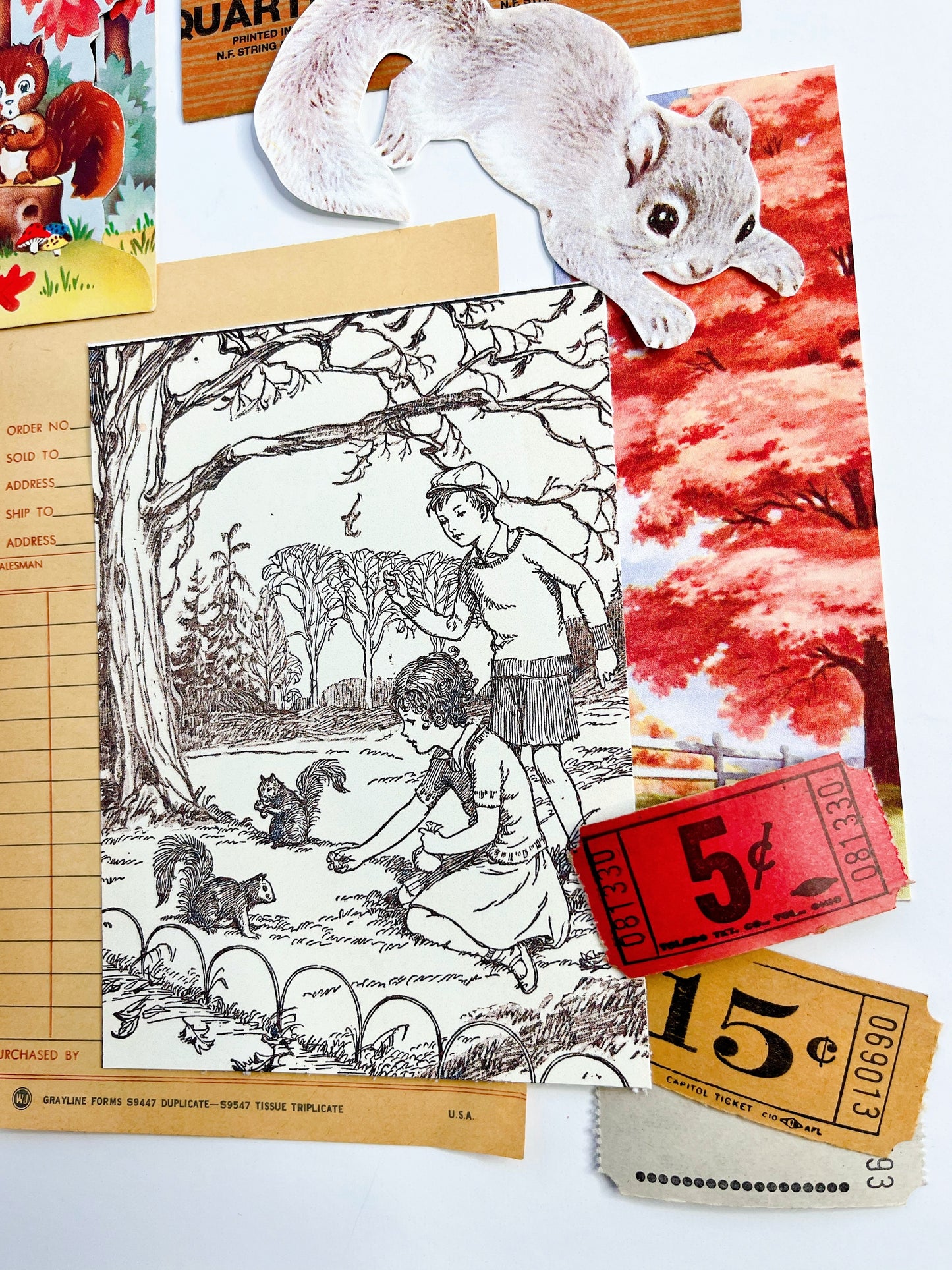 “Grey Squirrel-Grey Squirrel” ephemera collection