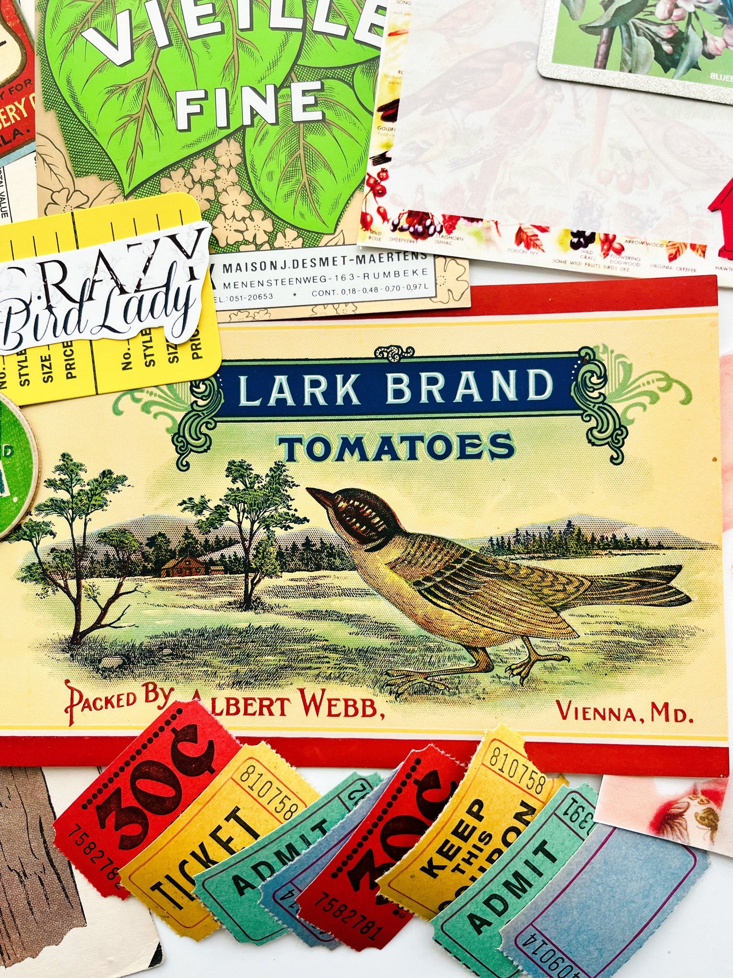 “Crazy Bird Lady” vintage ephemera collection