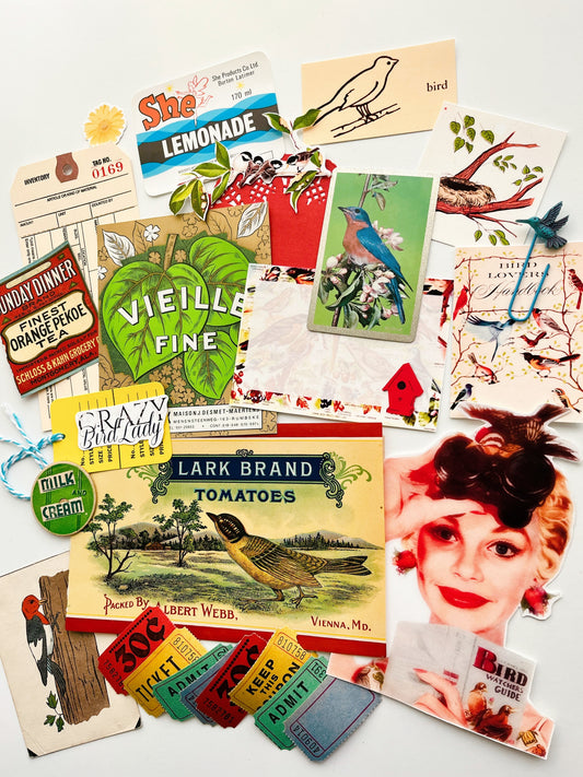 “Crazy Bird Lady” vintage ephemera collection