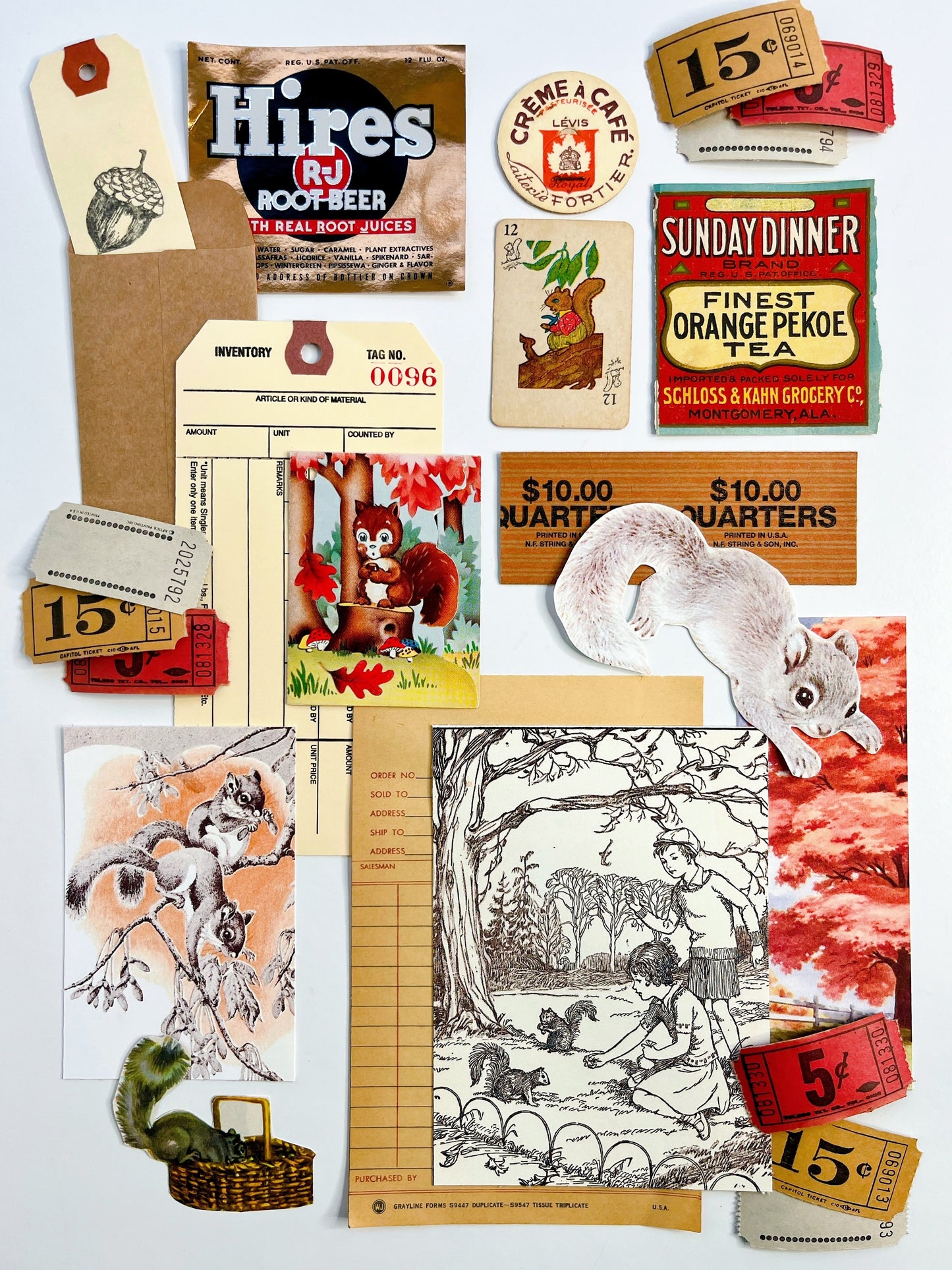 “Grey Squirrel-Grey Squirrel” ephemera collection