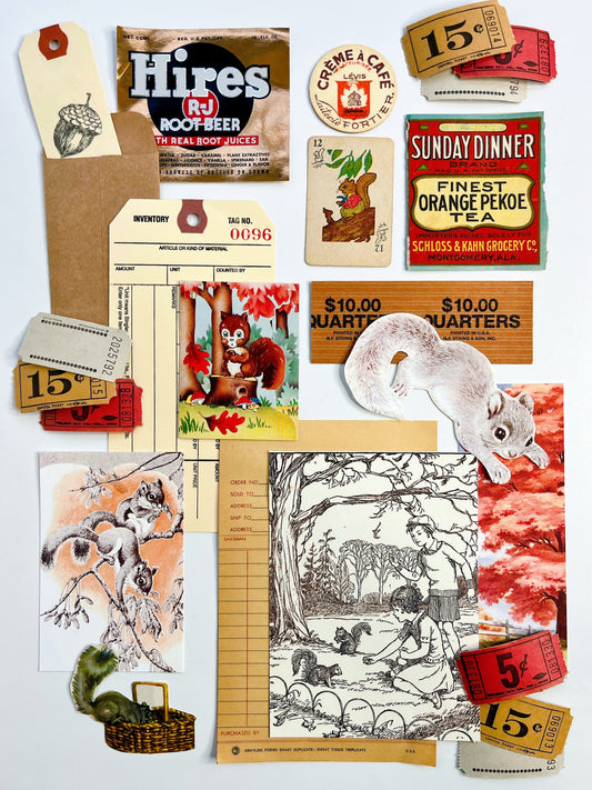 “Grey Squirrel-Grey Squirrel” ephemera collection