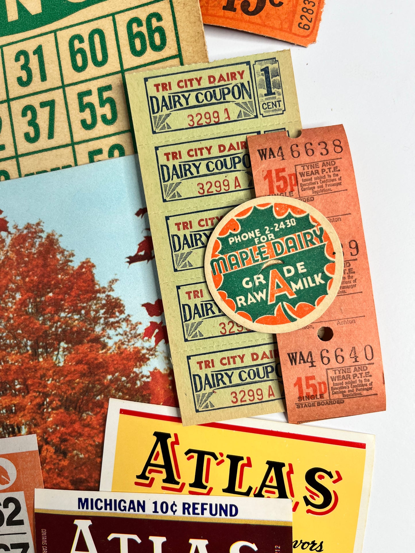 Fall ephemera essentials
