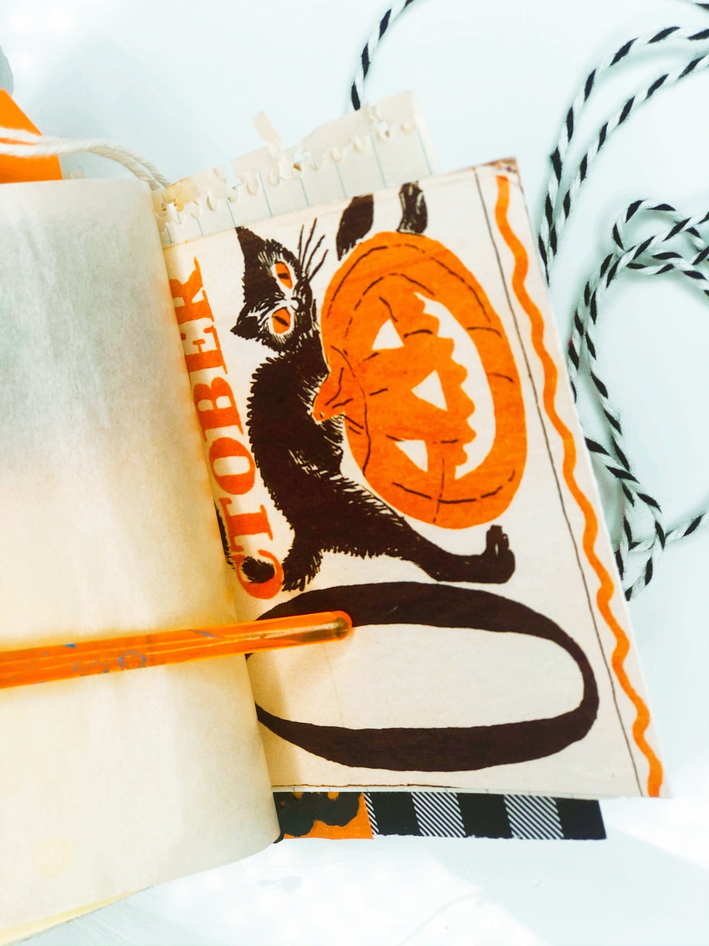 Vintage Jack O Lantern seed packet journal PREORDER