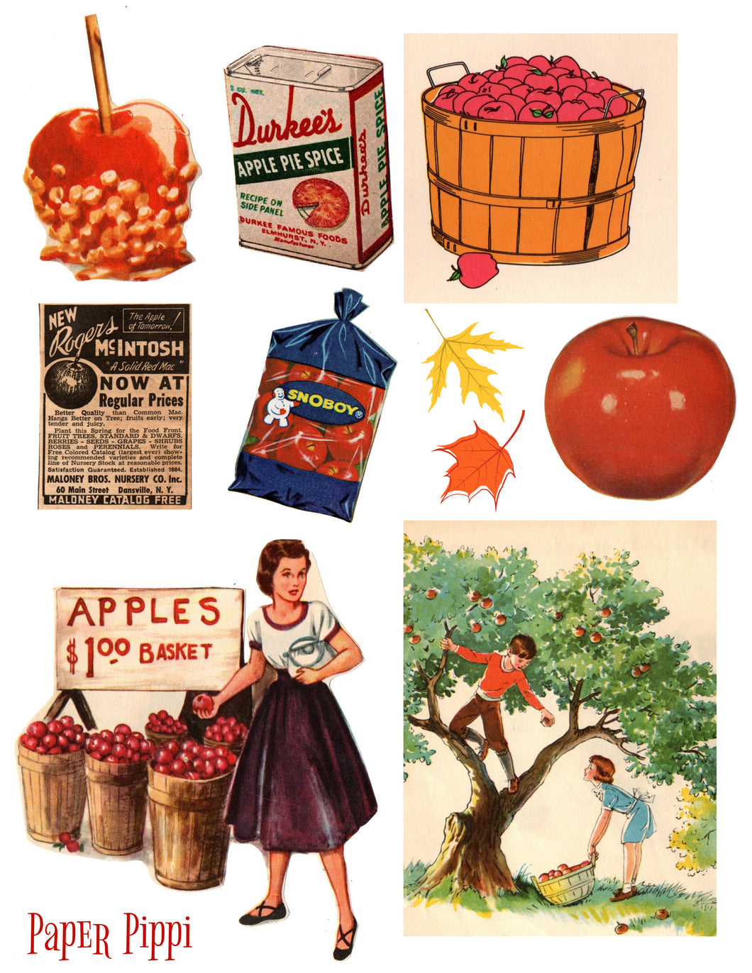 Autumn Apple Collection Digital Download Printable