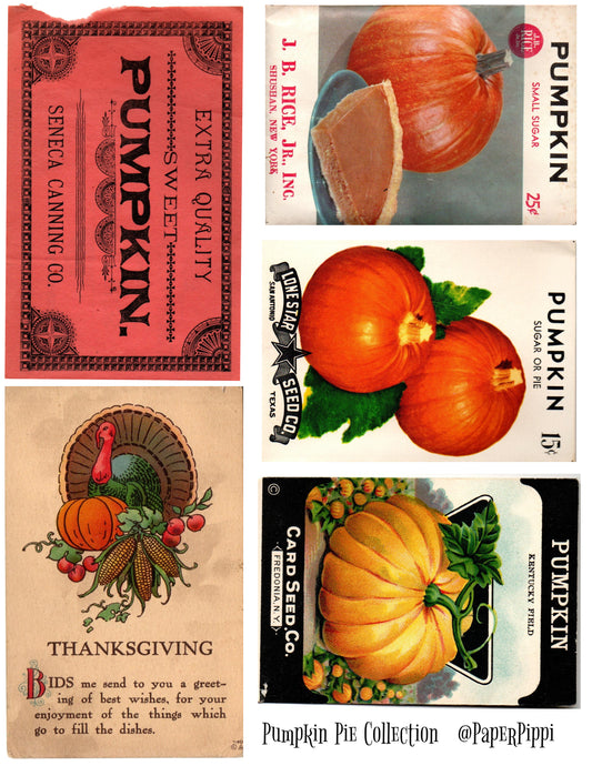 Pumpkin Pie Collection Digital Download