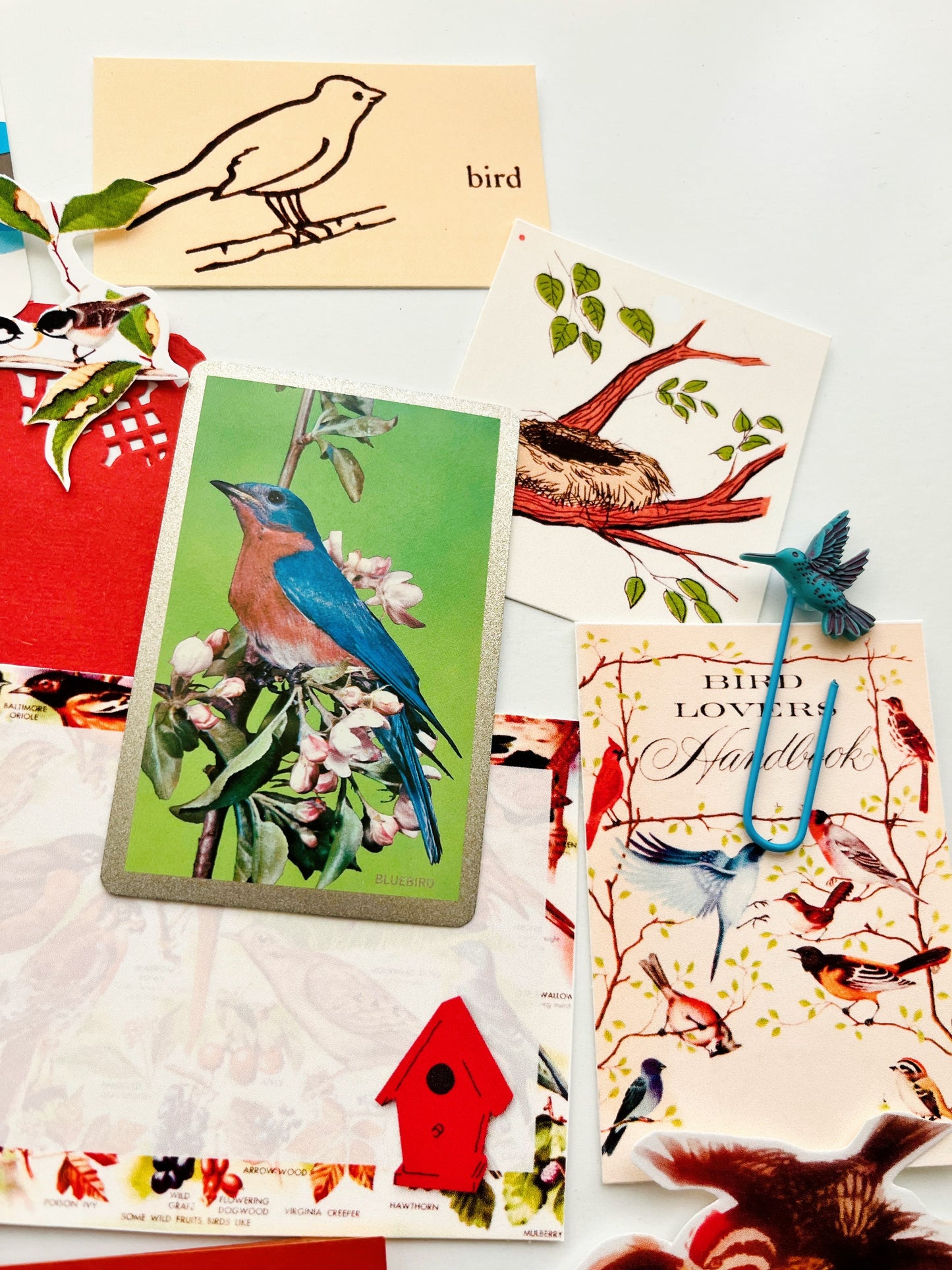 “Crazy Bird Lady” vintage ephemera collection