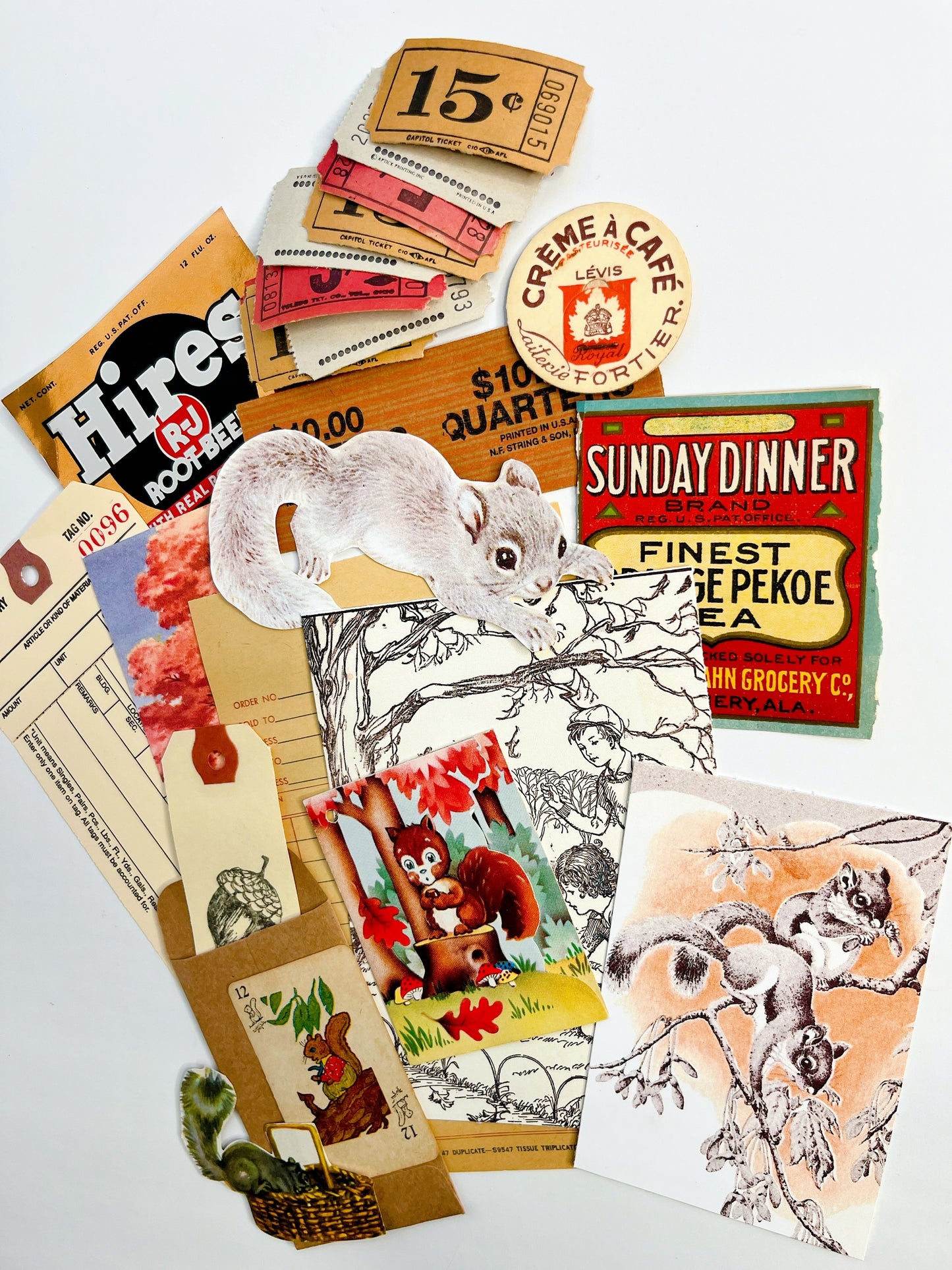 “Grey Squirrel-Grey Squirrel” ephemera collection