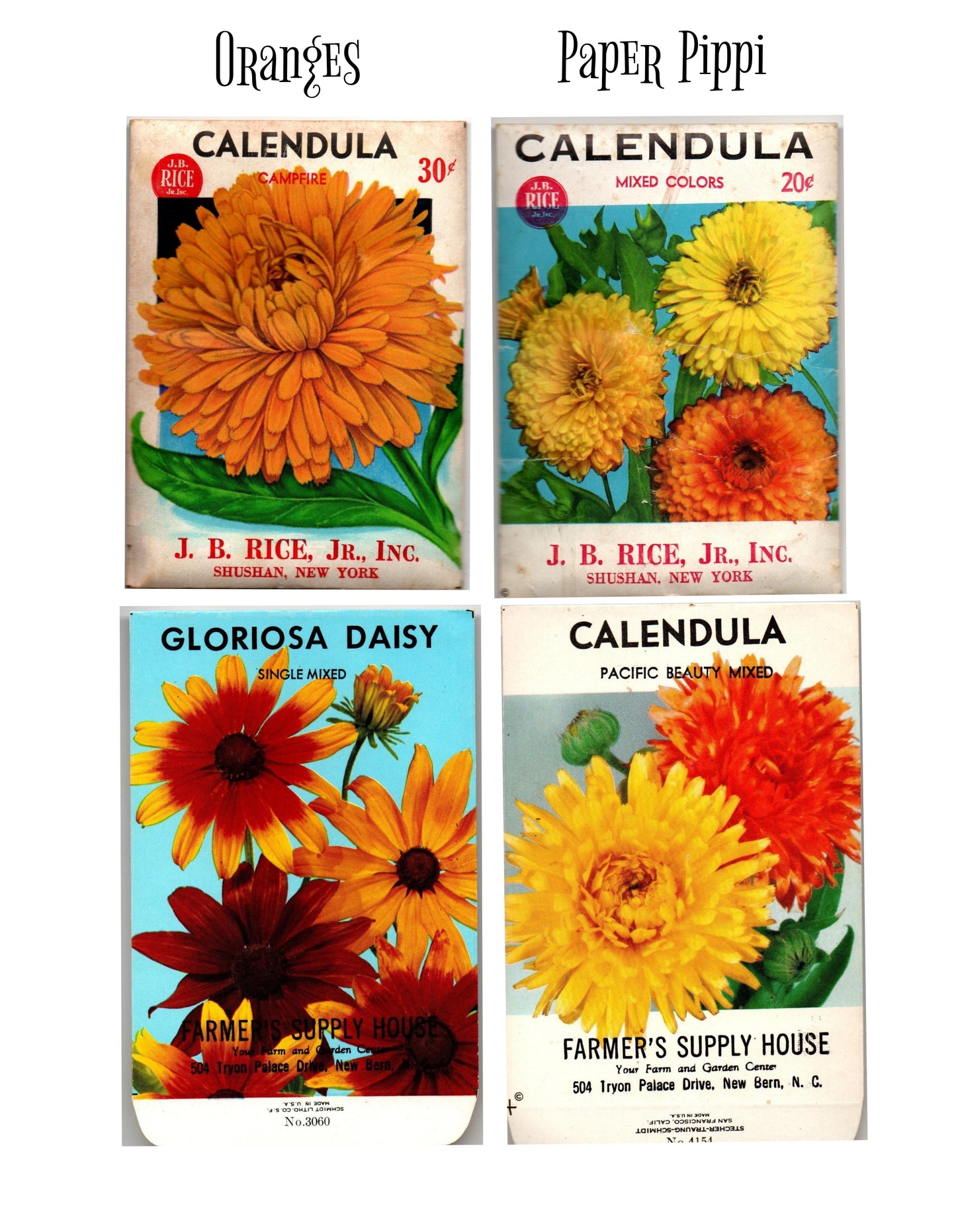 Vintage Flower Seed Packs: Oranges