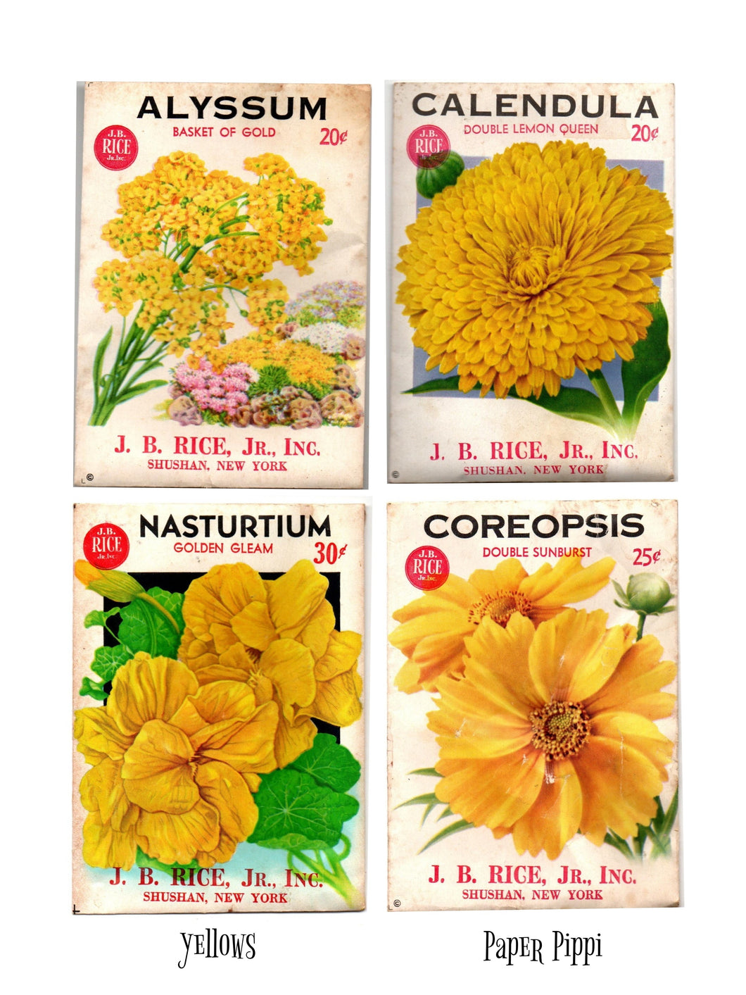 Vintage Flower Seed Packs: Yellows