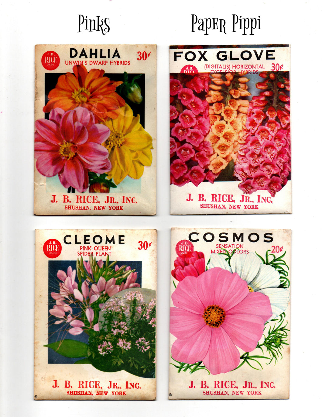 Vintage Flower Seed packs: Pinks